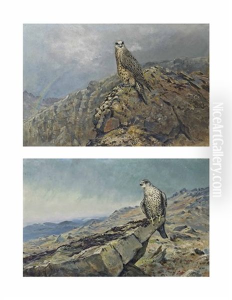 Gyr Falcon On A Rocky Crag (+ Gyr Falcon With A Rainbow Beyond; 2 Works) Oil Painting by George Edward Lodge