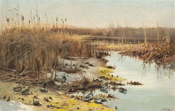 Marshland Life Oil Painting by George Edward Lodge