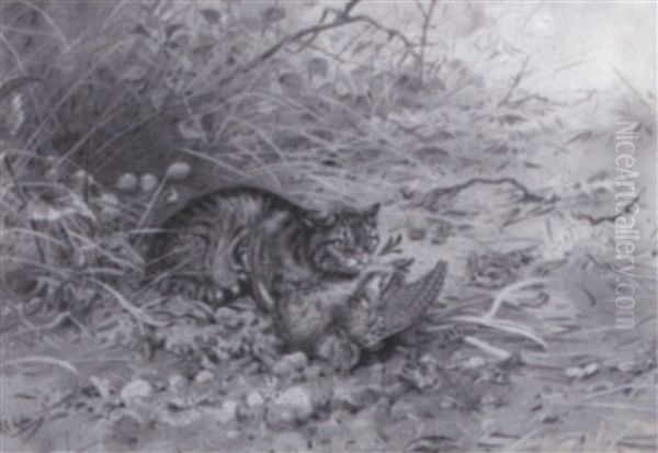 Wild Cat And Partdridge Oil Painting by George Edward Lodge