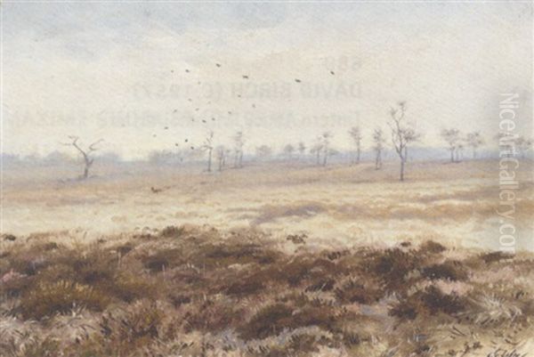 Rooks Circling Above A Barren Landscape Oil Painting by George Edward Lodge