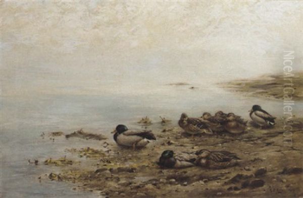 Mallards At The Water's Edge Oil Painting by George Edward Lodge