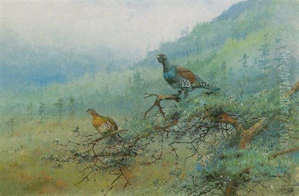 A Pair Of Capercaillie In A Scottish Landscape Oil Painting by George Edward Lodge