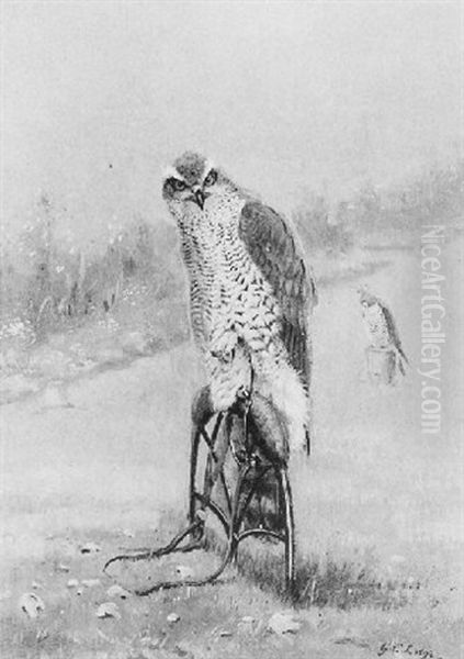 Study Of A Female Sparrowhawk In Jesses, Her Mate Beyond Oil Painting by George Edward Lodge