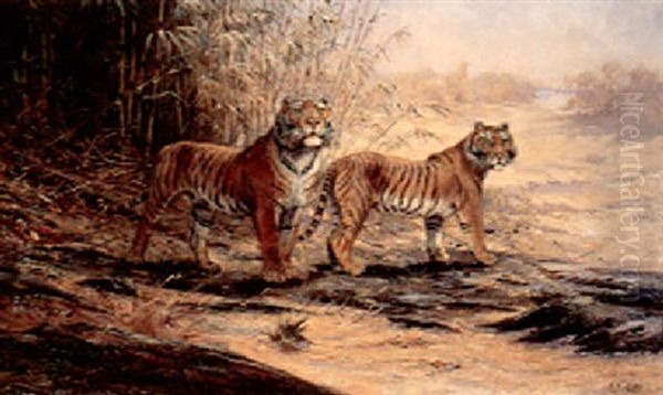 Pair Of Tigers Oil Painting by George Edward Lodge