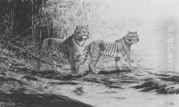 A Pair Of Tigers Oil Painting by George Edward Lodge