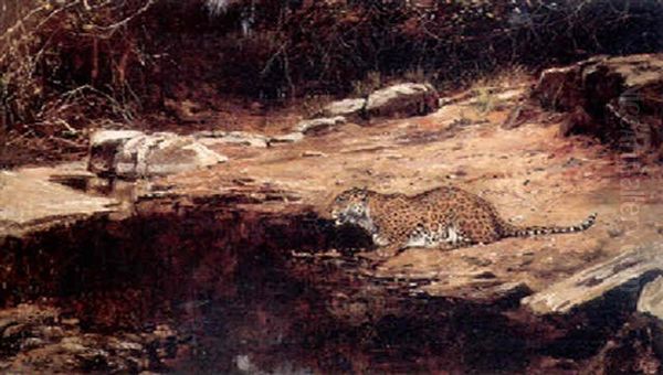 Leopard By Pool Oil Painting by George Edward Lodge