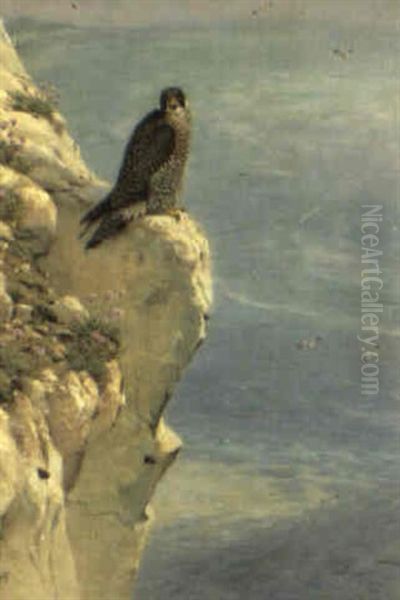 Osprey On A Cliff Ledge Oil Painting by George Edward Lodge