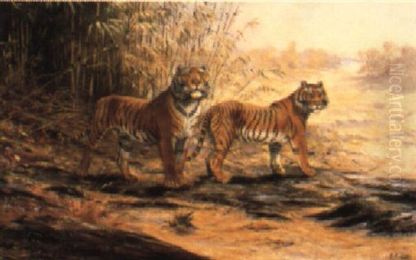 A Pair Of Tigers Oil Painting by George Edward Lodge