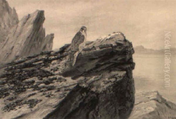 Hammerfest-peregrine Falcon Oil Painting by George Edward Lodge