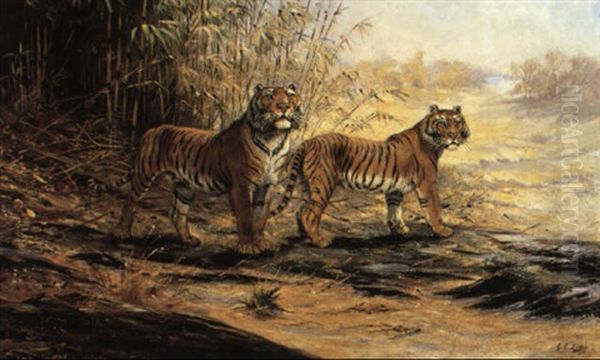 Pair Of Tigers Oil Painting by George Edward Lodge