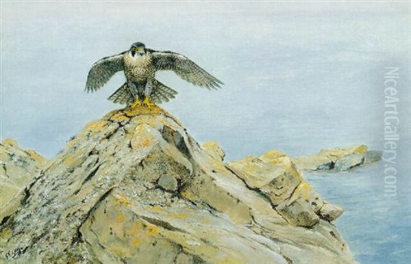 A Peregrine Falcon On A Rocky Outcry Oil Painting by George Edward Lodge