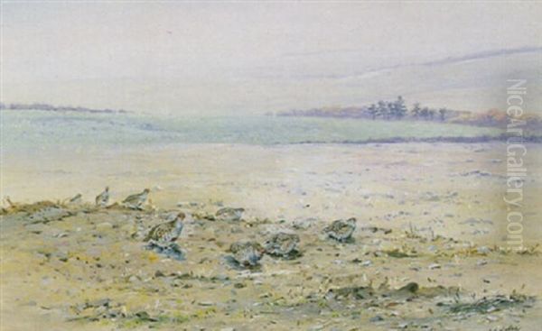 Partridges In A Stubble Field Oil Painting by George Edward Lodge