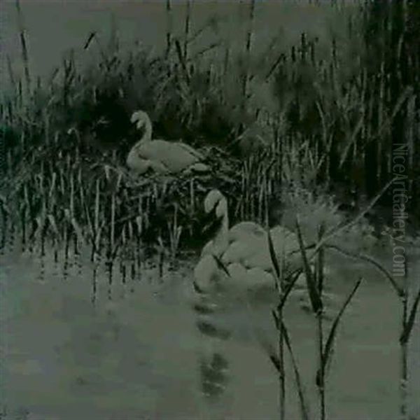 A Pair Of Mute Swan Oil Painting by George Edward Lodge