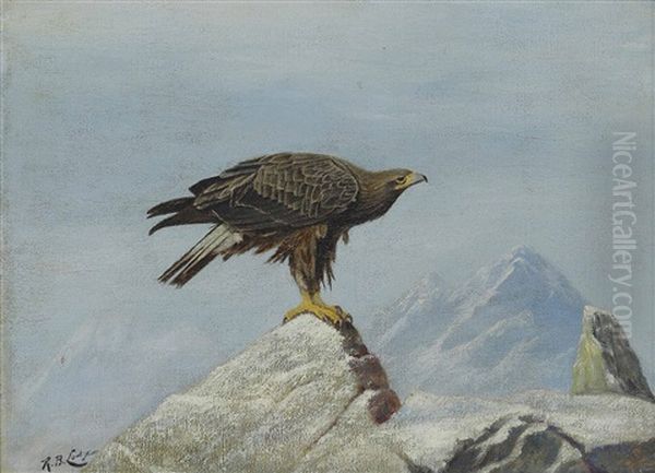 A Young Sea Eagle On A Rocky Outcrop Oil Painting by Reginald Lodge