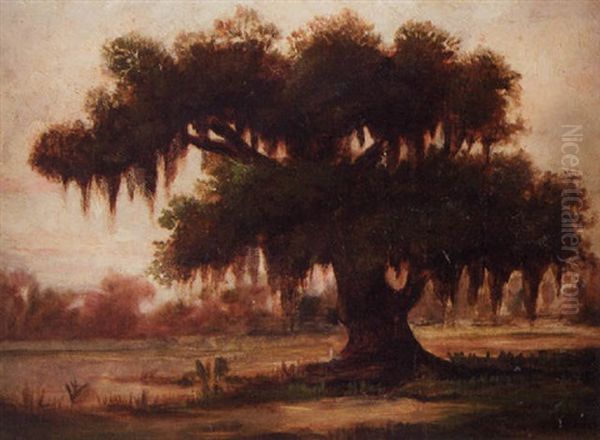 Tree With Spanish Moss, Louisiana Bayou Oil Painting by Sidonia (Mrs. Lewis Crager) Loeb