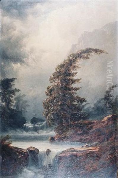 Rocky Mountain Stream Oil Painting by Alexander Francois Loemans