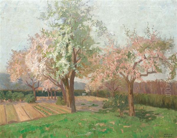 Cherry Trees In Bloom Oil Painting by Kimon Loghi