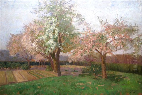 Trees In Blossom by Kimon Loghi