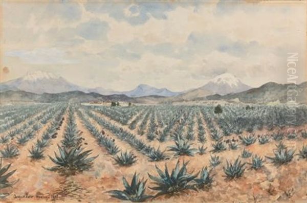 El Iztaccihuatl And El Popocatepetl With Field Of Maguey Oil Painting by August Loehr