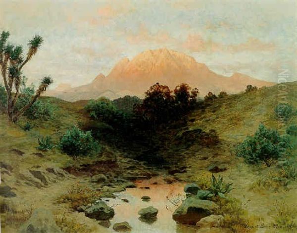 Vista Del Ajusco Oil Painting by August Loehr