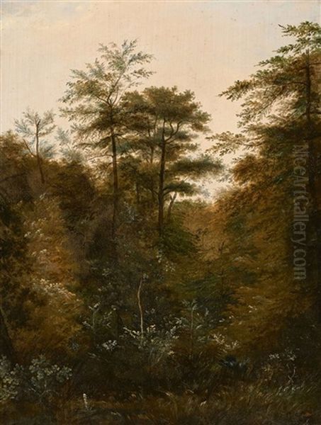 Etude De Sous-bois Avec Le Trepied De L'artiste, Foret De Fontainebleau Oil Painting by Alexandre Francois Loisel