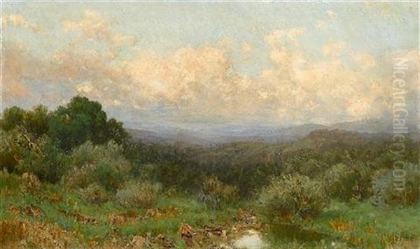 Marsh Landscape Oil Painting by Francesco (Luigi) Lojacono