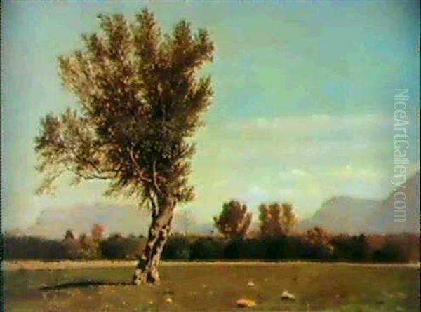 Campagna Siciliana Oil Painting by Francesco (Luigi) Lojacono