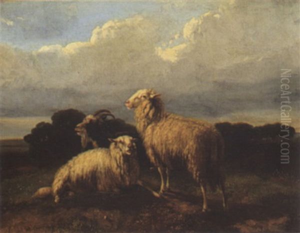 Sheep Oil Painting by Dirk Van Lokhorst