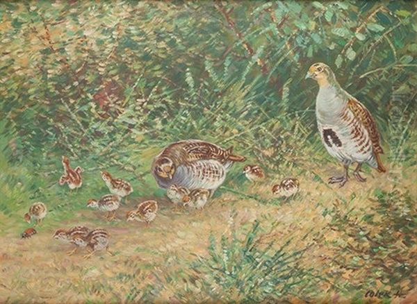 Quails Oil Painting by Stanislav Lolek