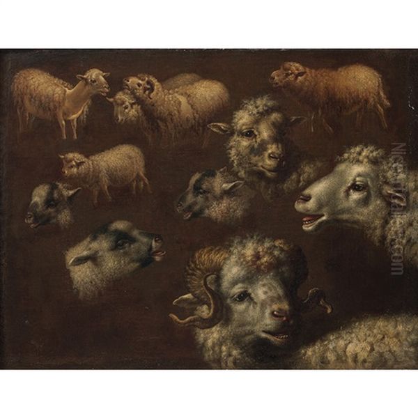 Etudes De Moutons Oil Painting by Francesco Londonio