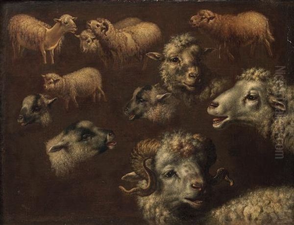 Etudes De Moutons Oil Painting by Francesco Londonio