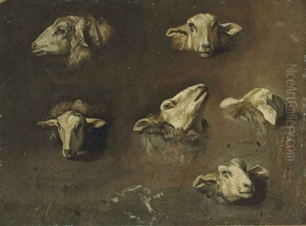 Six Studies Of Sheep Heads Oil Painting by Francesco Londonio