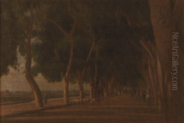 Lebbek Avenue, Cairo Oil Painting by Ernest Wadsworth Longfellow