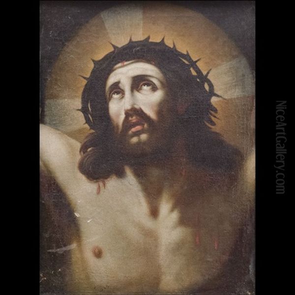 Cristo Con La Corona Di Spine Oil Painting by Antonio Longo