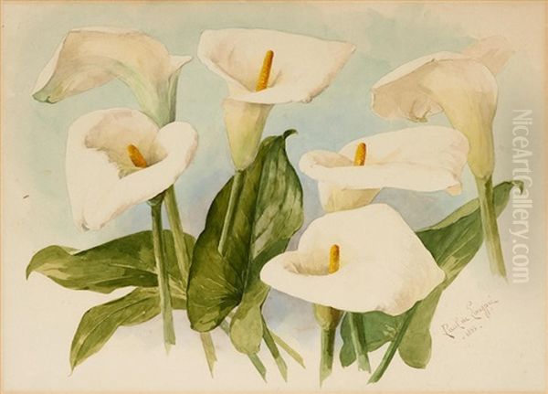 Calla Lilies Sheet Oil Painting by Paul De Longpre