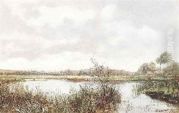 Sumpfiger See Mit Bewaldetem Ufer Unter Bewolktem Himmel Oil Painting by Raoul Maucherat de Longpre