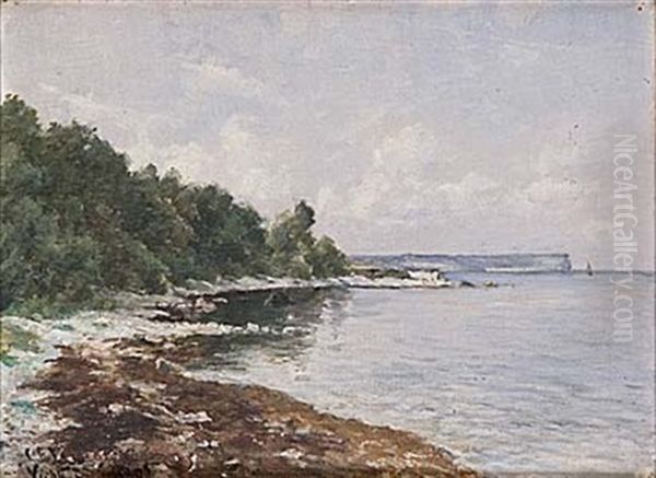 Vy Mot Hogklint, Gotland Oil Painting by Carl Ewald Loenngren