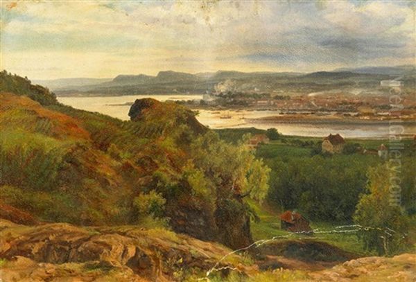 Blick Auf Christiana (kopenhagen) Oil Painting by Friedrich Loos