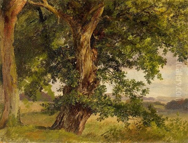 Eiche Am Waldessaum Oil Painting by Friedrich Loos