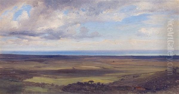 Flache Uferlandschaft Mit Blick Aufs Meer Oil Painting by Friedrich Loos