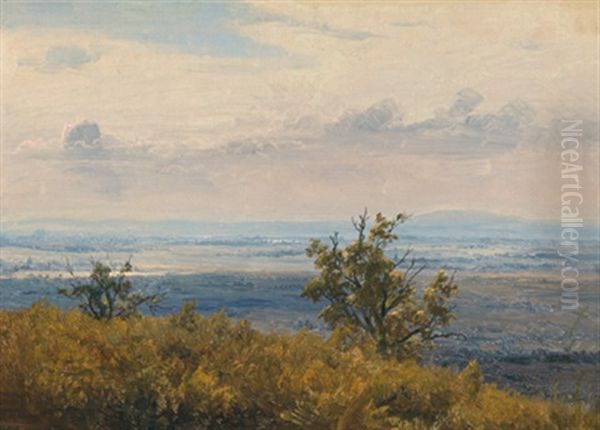 Donaulandschaft Oil Painting by Friedrich Loos