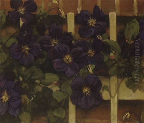 Clematis Tegen Hekwerk Oil Painting by Jacobus Van Looy