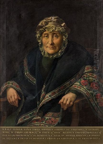 Retrato De La Marquesa De Campo Salinas by Vicente Lopez y Portana