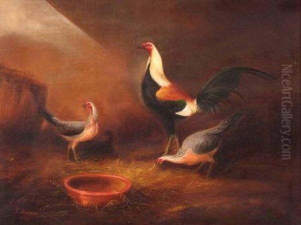 Bantams In A Barn Oil Painting by Thomas Benson