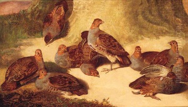 A Covey Of Partridges Beneath A Tree Oil Painting by Joseph Bensted