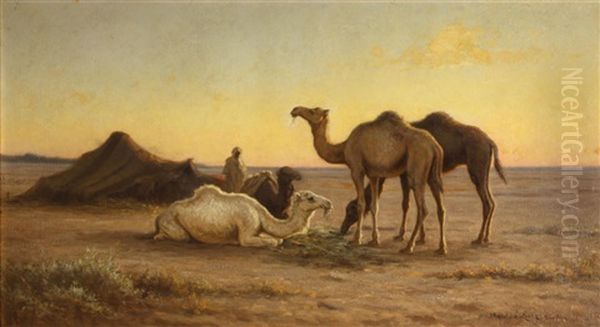 Camels Grazing At A Camp, Biskra, Egypt Oil Painting by Matilda Lotz