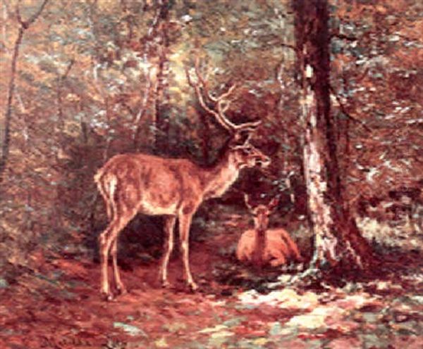 Deer In The Woods Oil Painting by Matilda Lotz