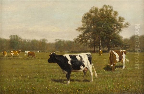 Cows Grazing Oil Painting by Clinton Loveridge