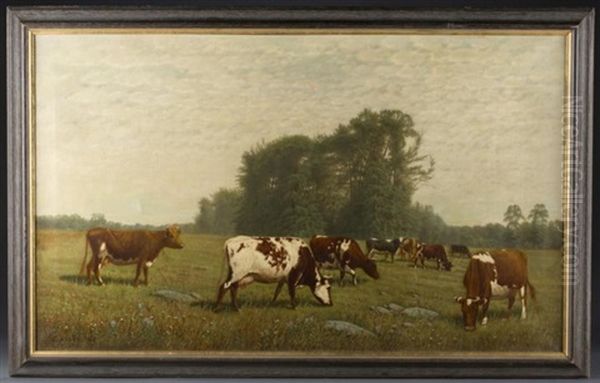 Cows Grazing In A Pasture Oil Painting by Clinton Loveridge