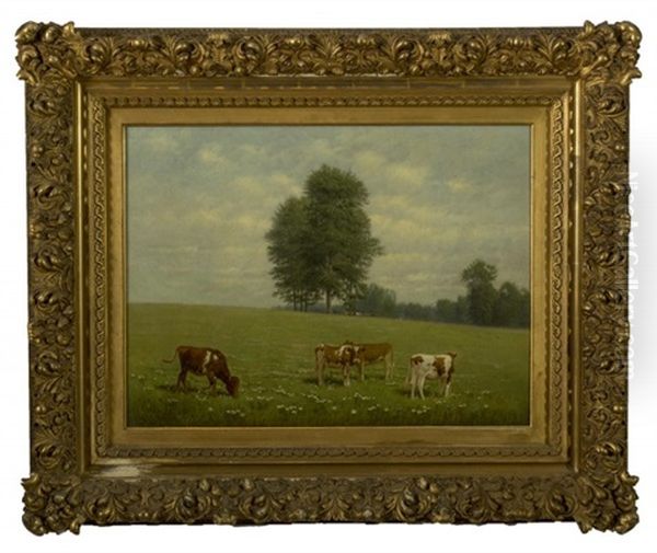 Cows In A Summer Pasture Oil Painting by Clinton Loveridge